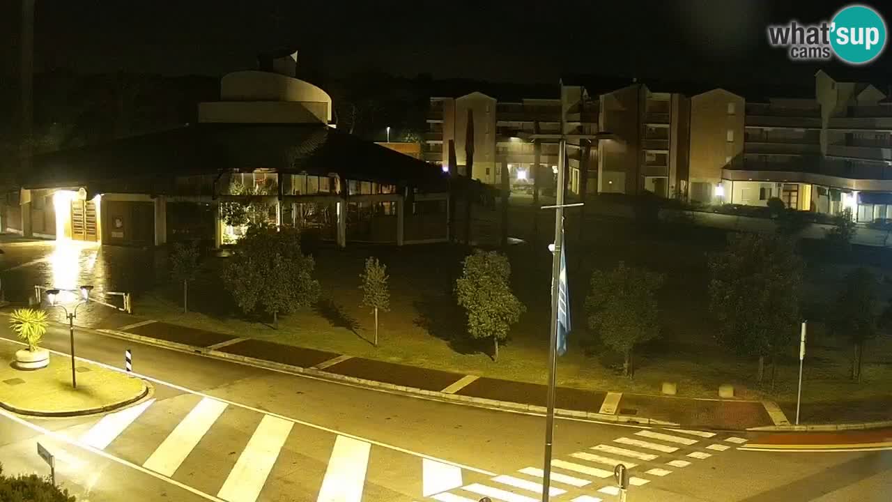 Camera en vivo Rosolina mare