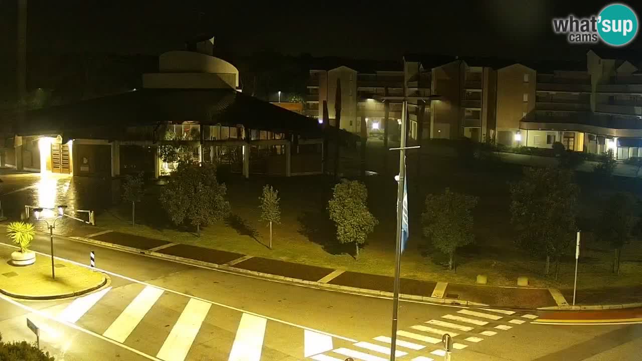 Camera en vivo Rosolina mare