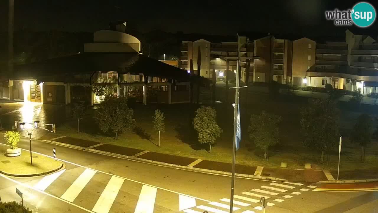 Livecam Rosolina mare