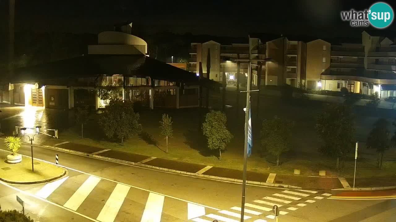 Livecam Rosolina mare