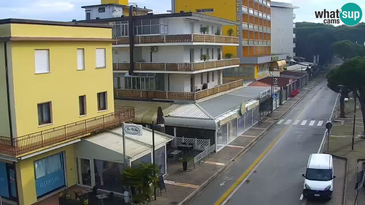 Camera en vivo Rosolina mare