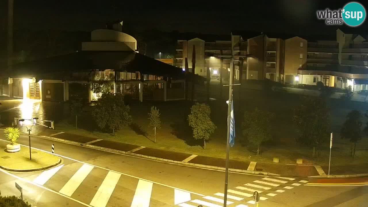 Camera en vivo Rosolina mare