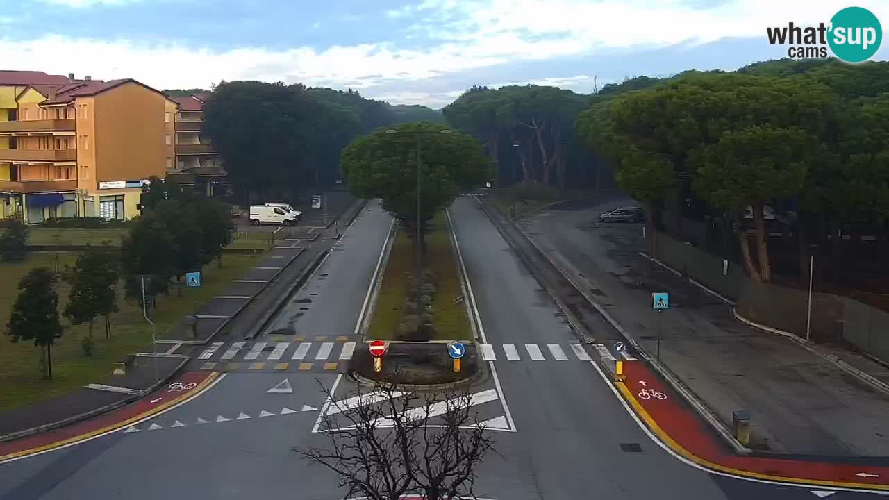 Camera en vivo Rosolina mare