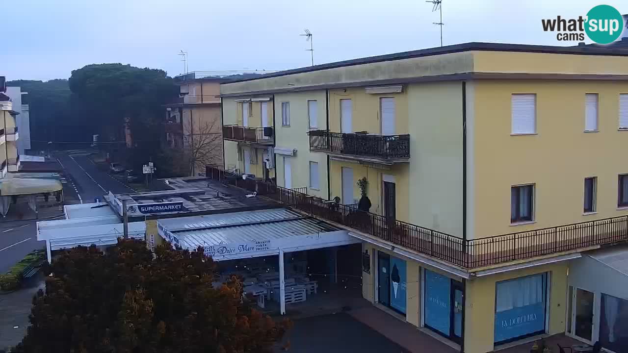Livecam Rosolina mare