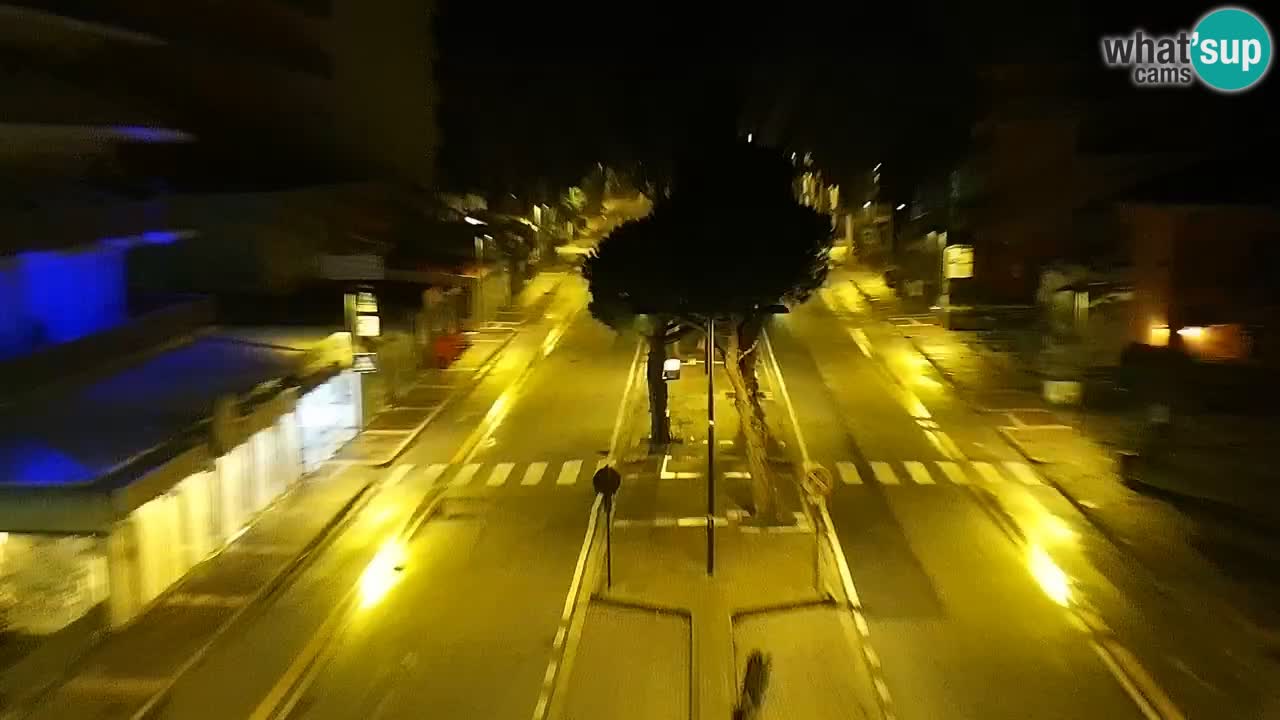 Livecam Rosolina mare