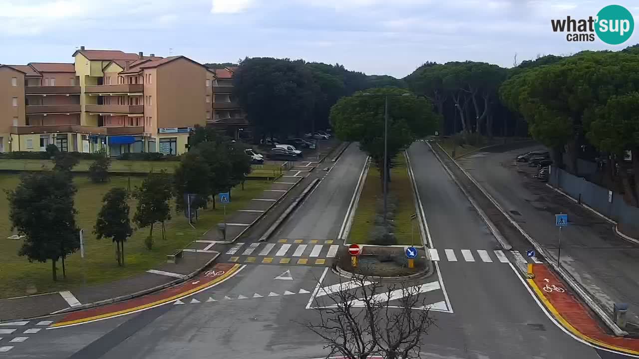 Camera en vivo Rosolina mare