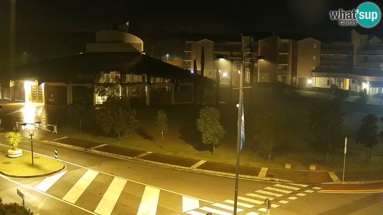 Camera en vivo Rosolina mare