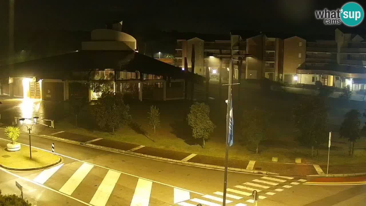 Camera en vivo Rosolina mare