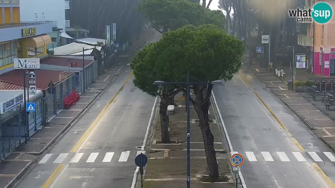 Livecam Rosolina mare