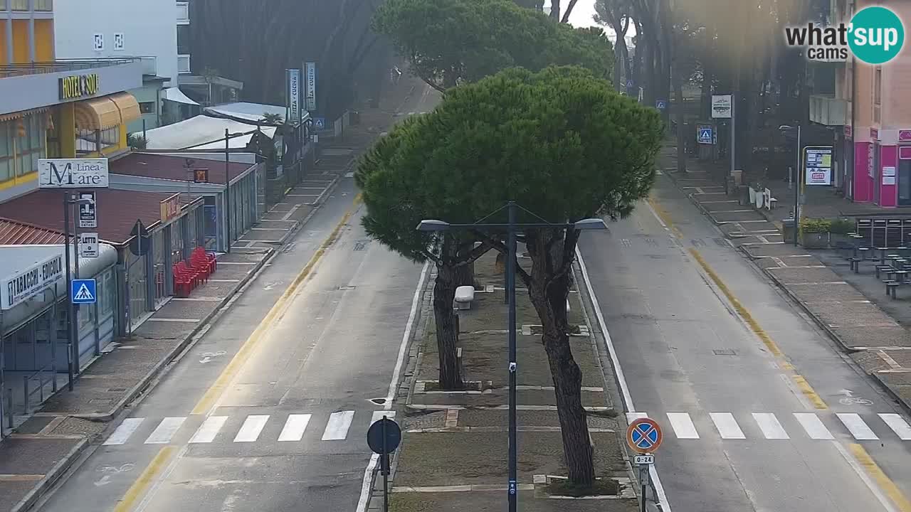 Camera en vivo Rosolina mare