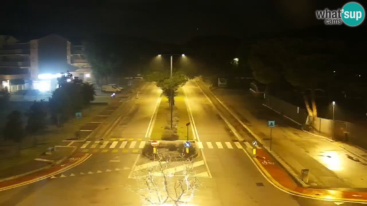 Camera en vivo Rosolina mare