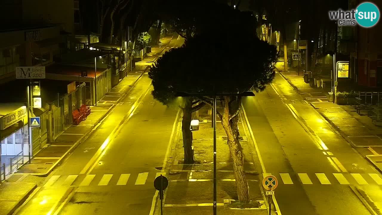 Livecam Rosolina mare