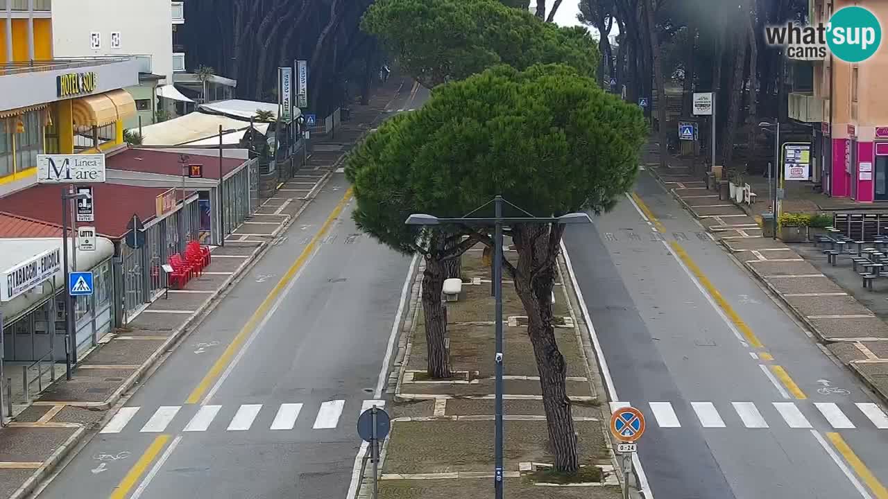 Web kamera Rosolina mare