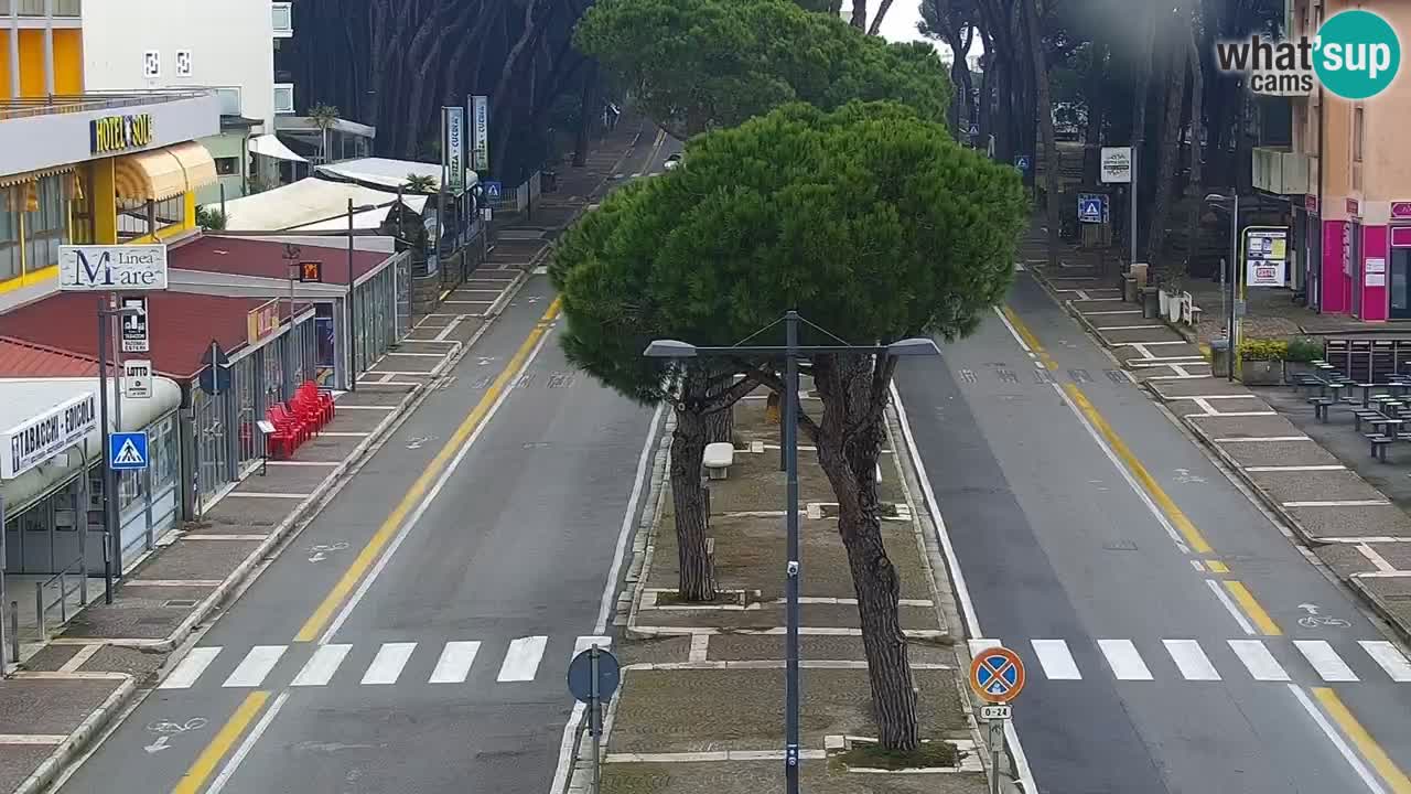 Livecam Rosolina mare