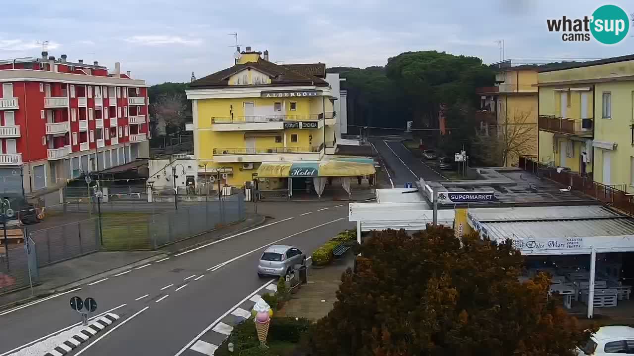 Camera en vivo Rosolina mare