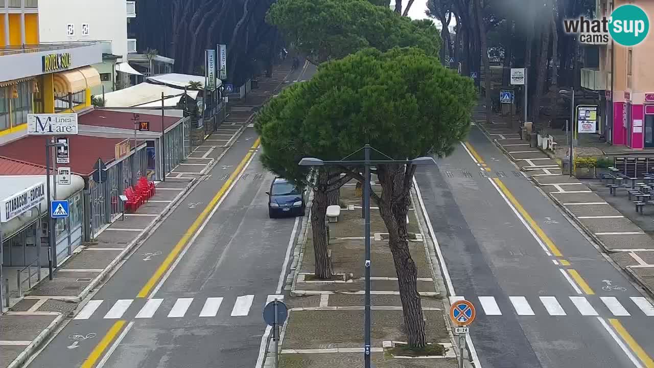 Camera en vivo Rosolina mare