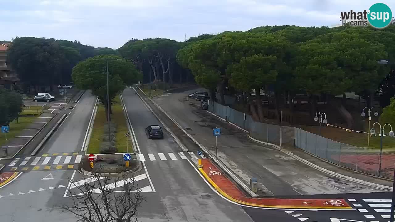 Livecam Rosolina mare