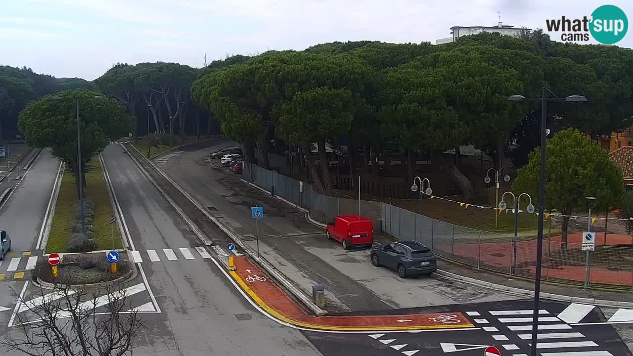 Livecam Rosolina mare