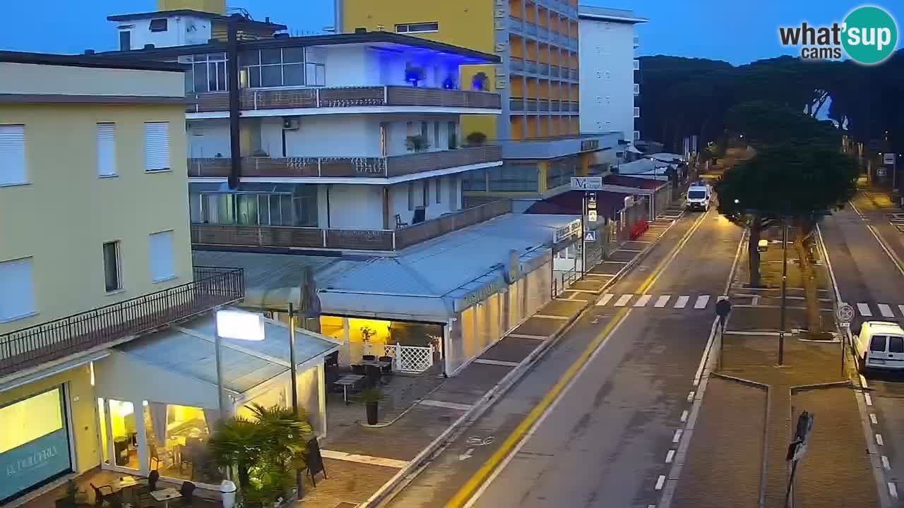 Camera en vivo Rosolina mare