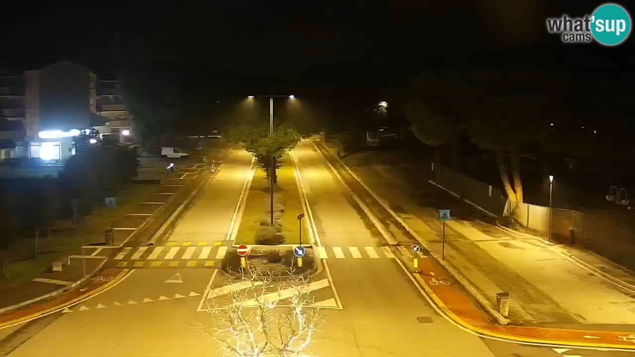 Camera en vivo Rosolina mare