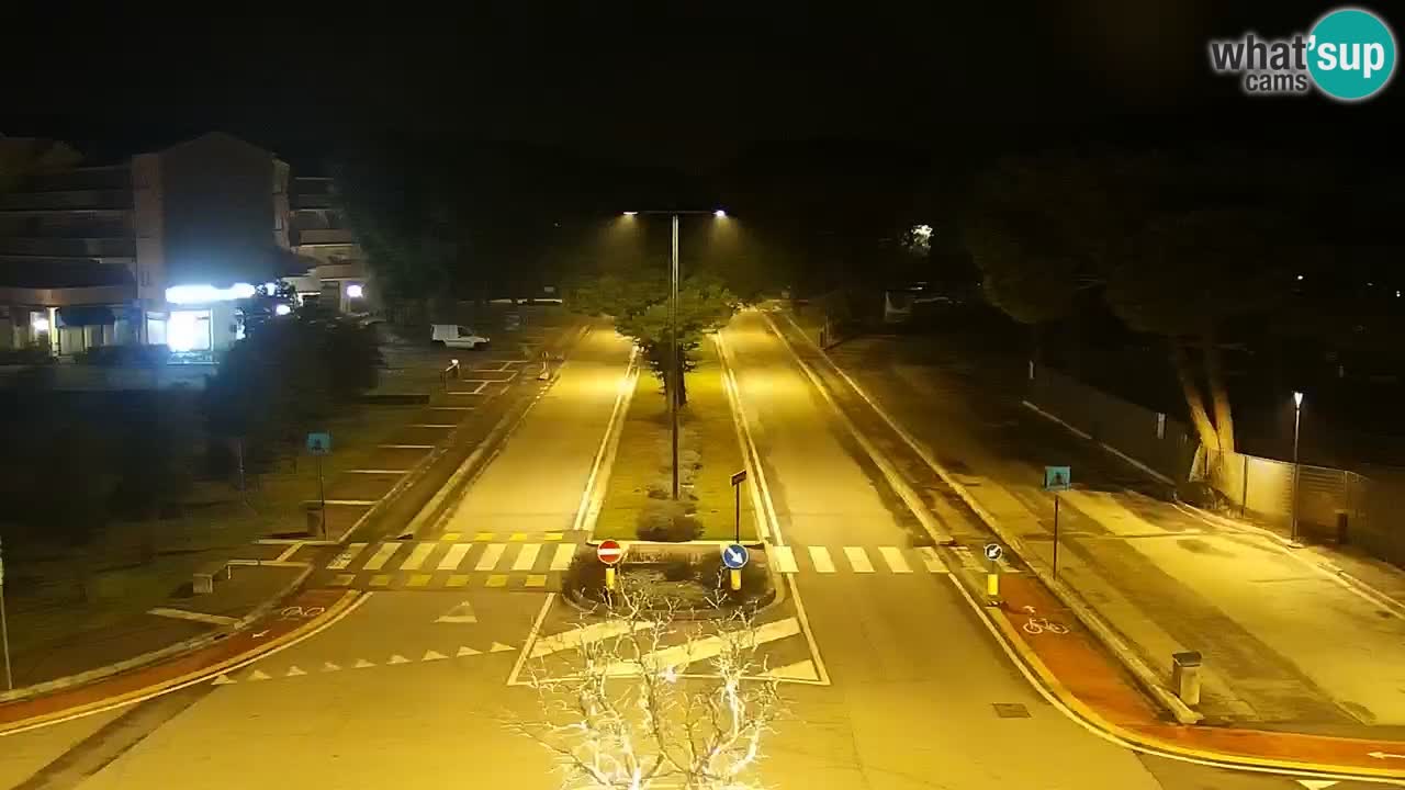 Camera en vivo Rosolina mare