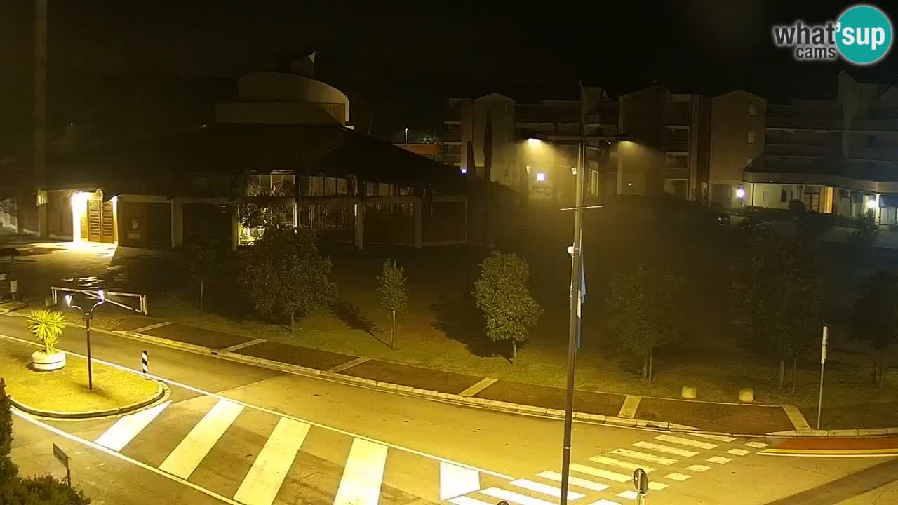 Camera en vivo Rosolina mare