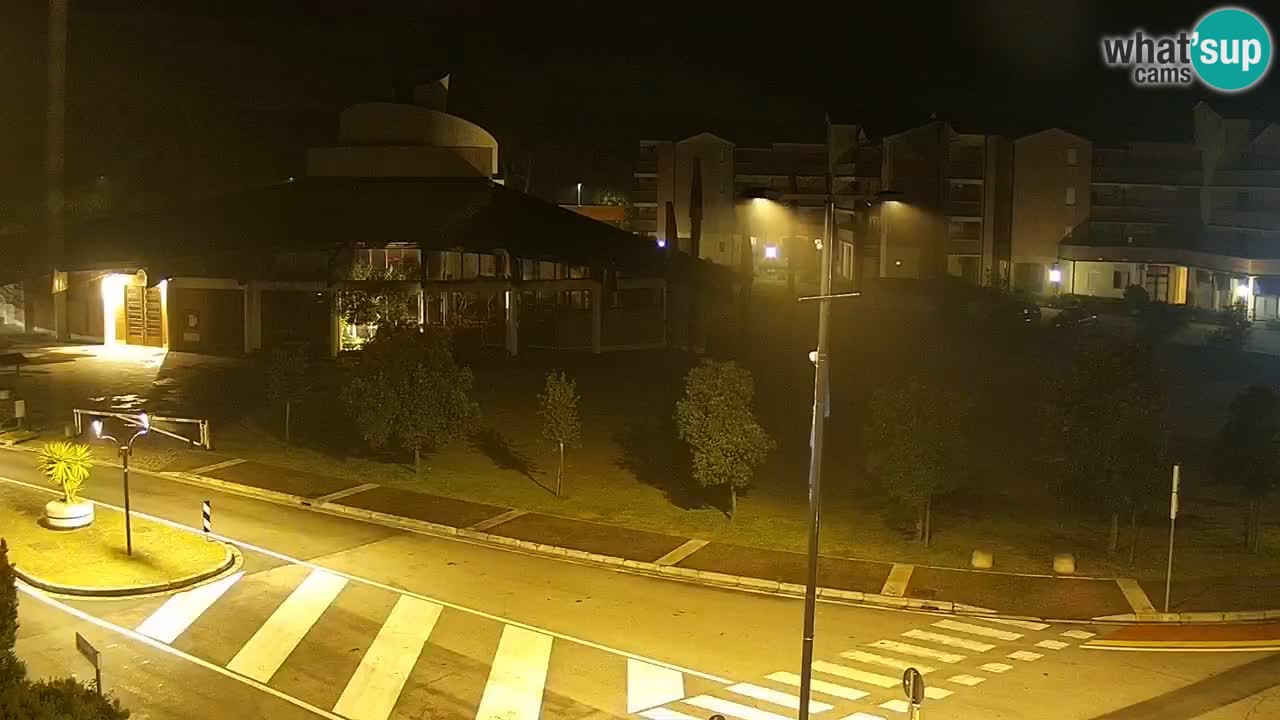 Livecam Rosolina mare