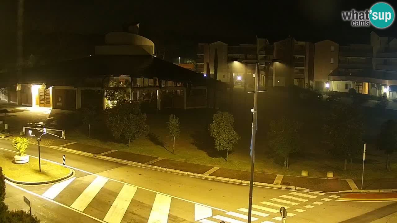 Camera en vivo Rosolina mare