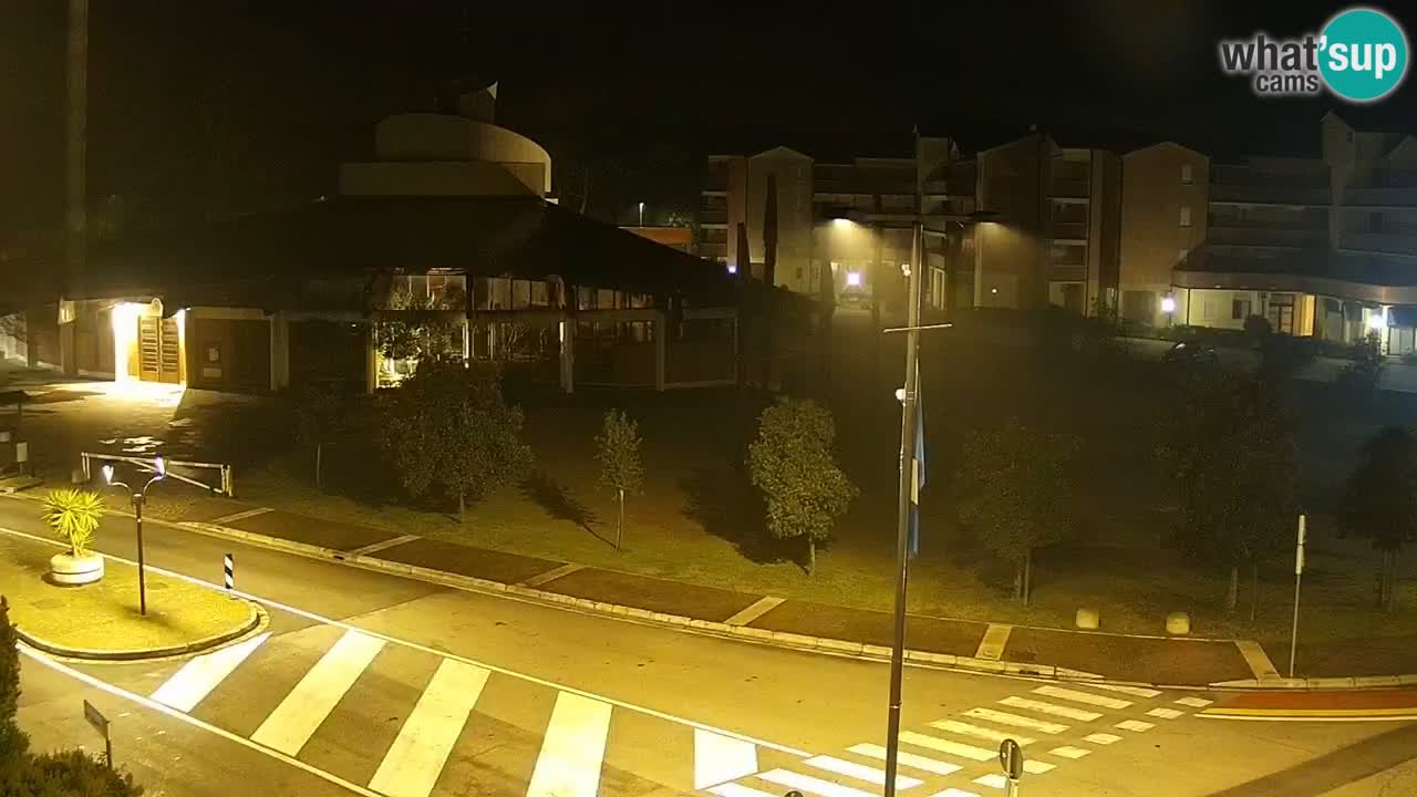 Camera en vivo Rosolina mare