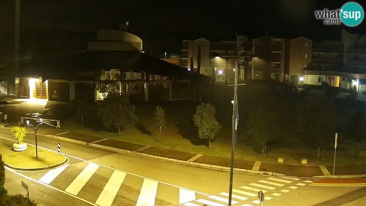 Camera en vivo Rosolina mare