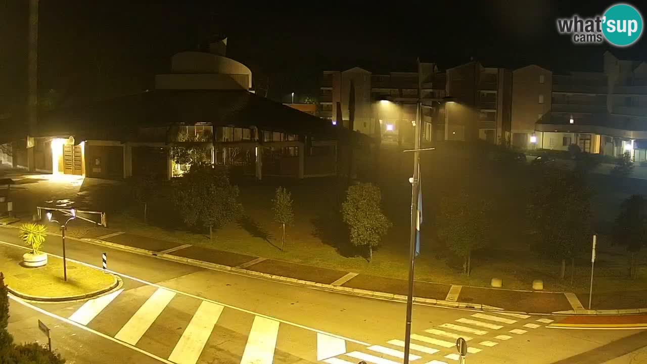 Livecam Rosolina mare