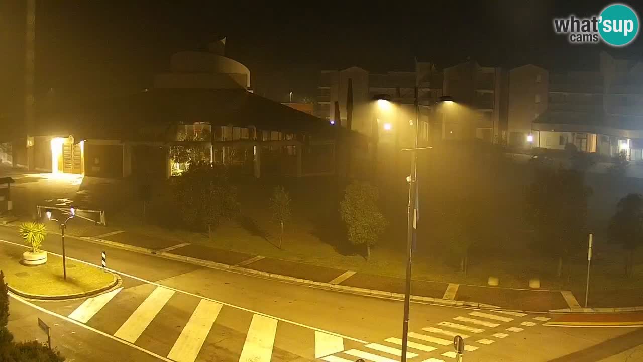 Livecam Rosolina mare