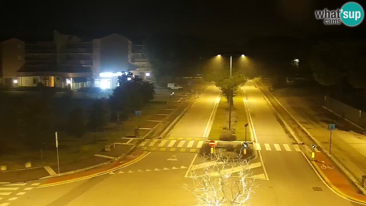 Livecam Rosolina mare