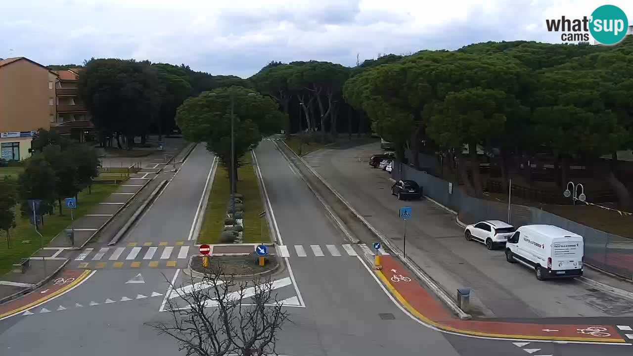 Livecam Rosolina mare