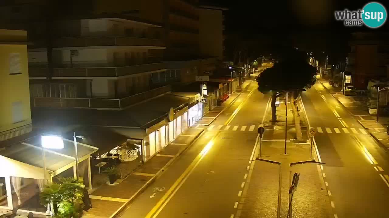 Camera en vivo Rosolina mare