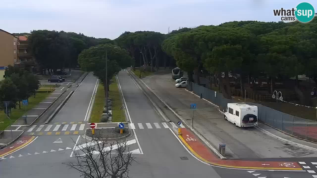 Camera en vivo Rosolina mare