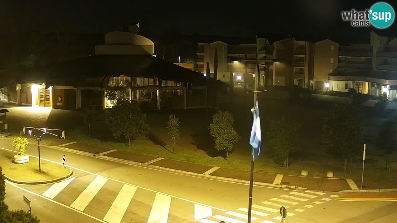 Livecam Rosolina mare