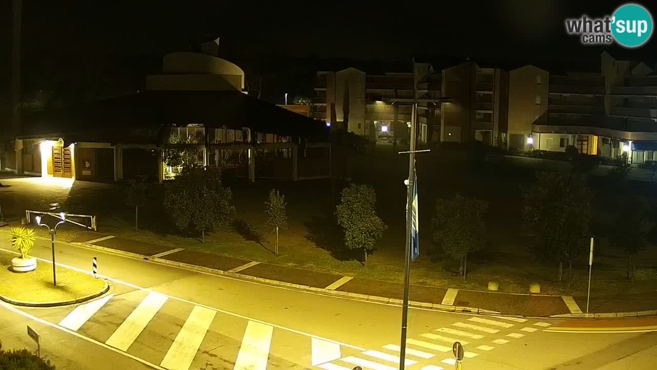 Camera en vivo Rosolina mare