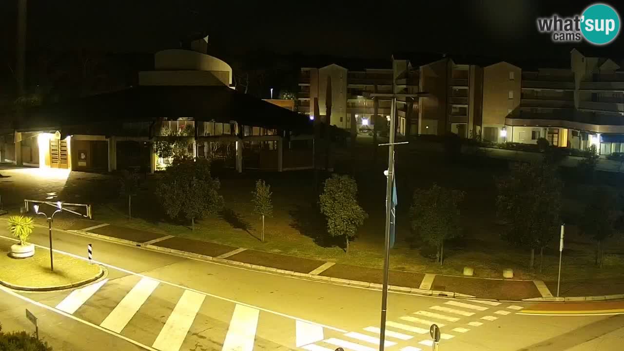 Livecam Rosolina mare