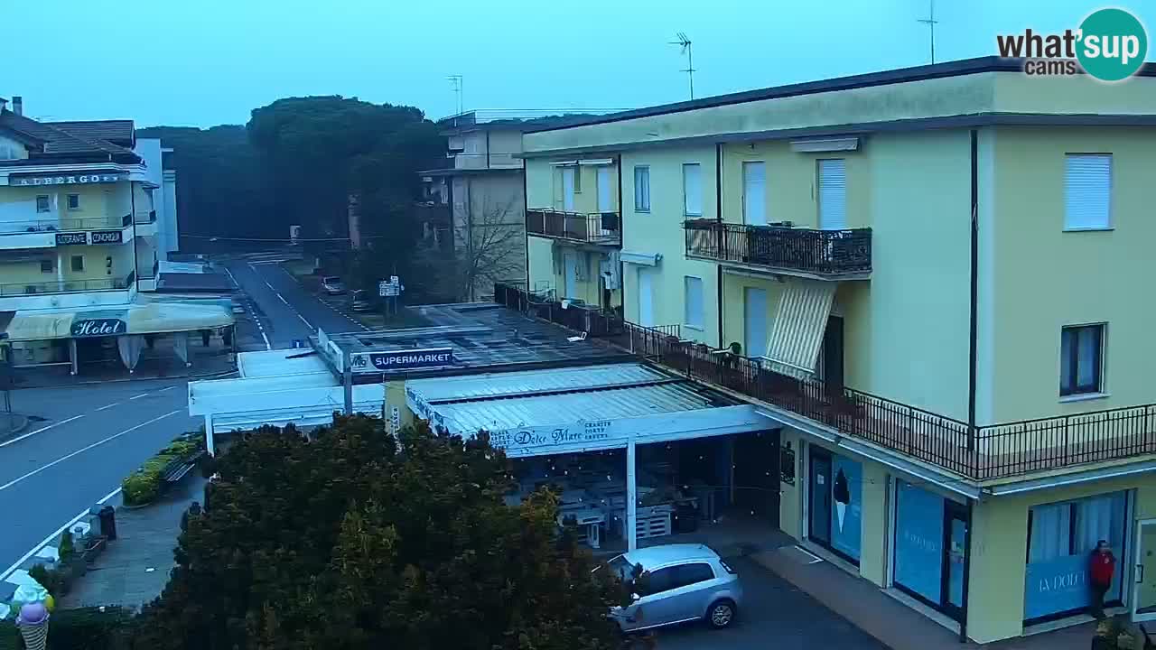 Camera en vivo Rosolina mare