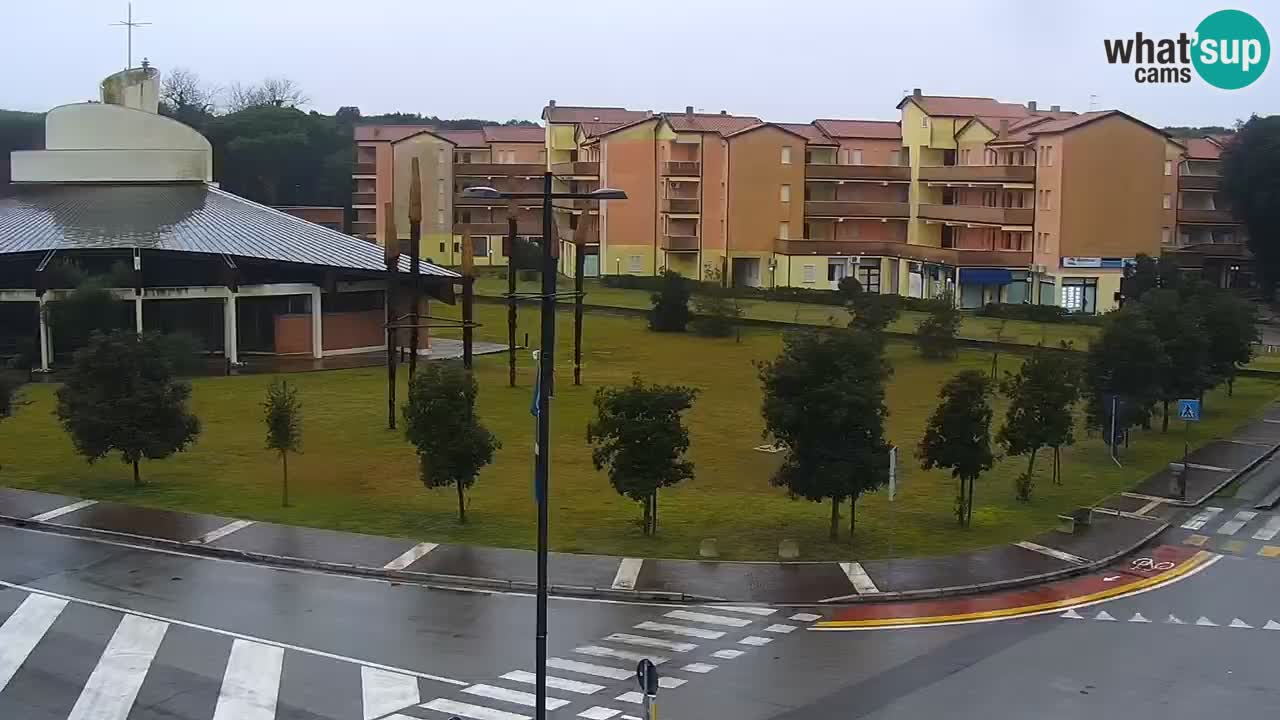 Camera en vivo Rosolina mare