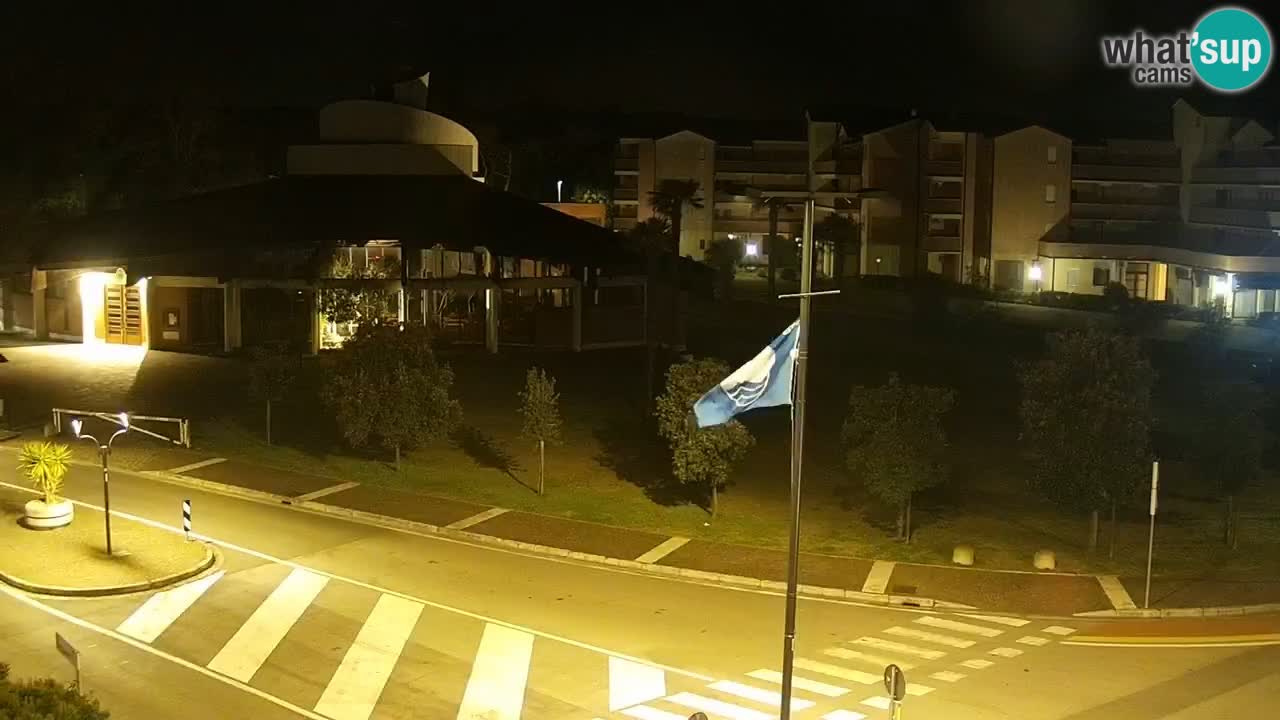 Camera en vivo Rosolina mare