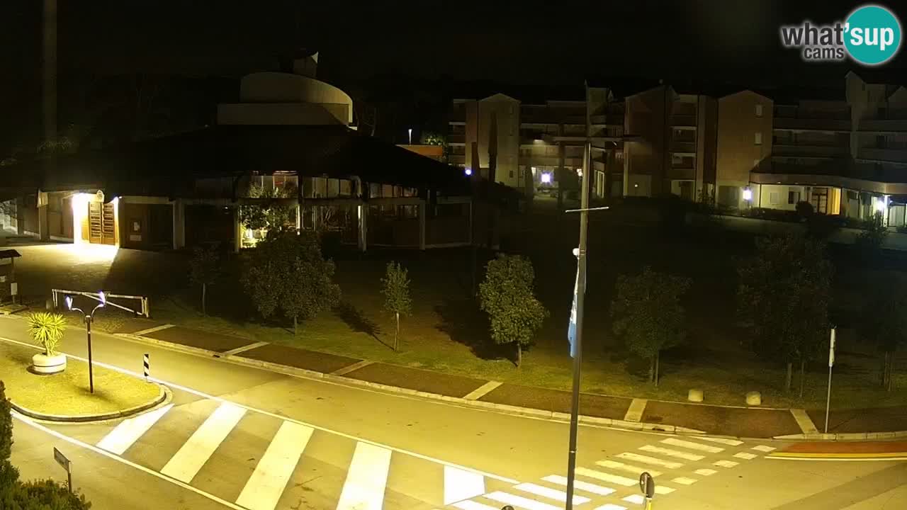 Livecam Rosolina mare