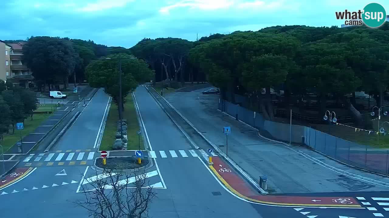 Livecam Rosolina mare