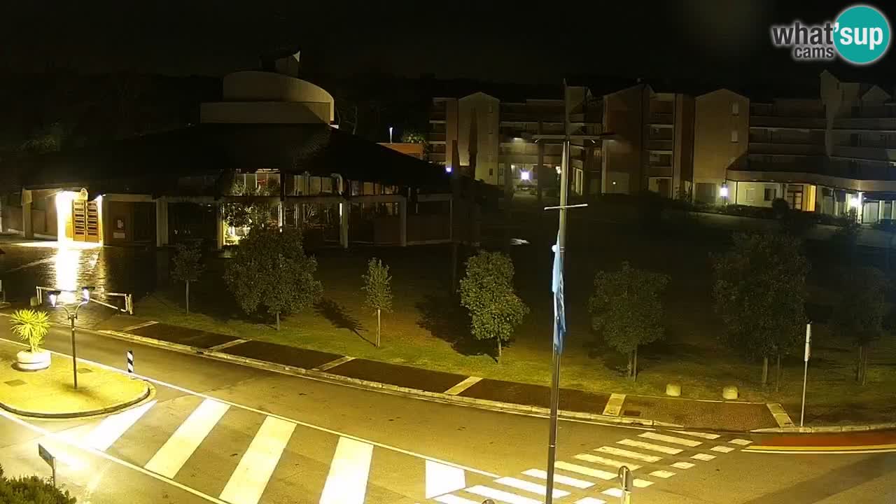 Camera en vivo Rosolina mare