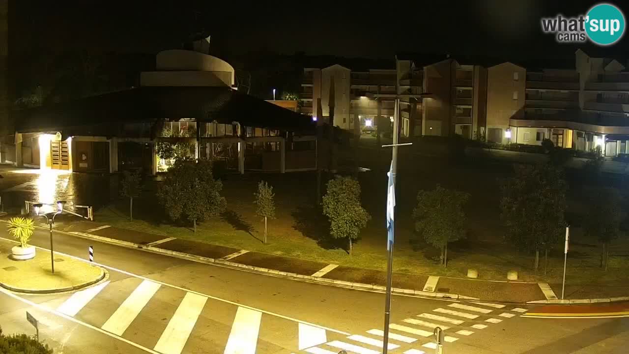 Camera en vivo Rosolina mare