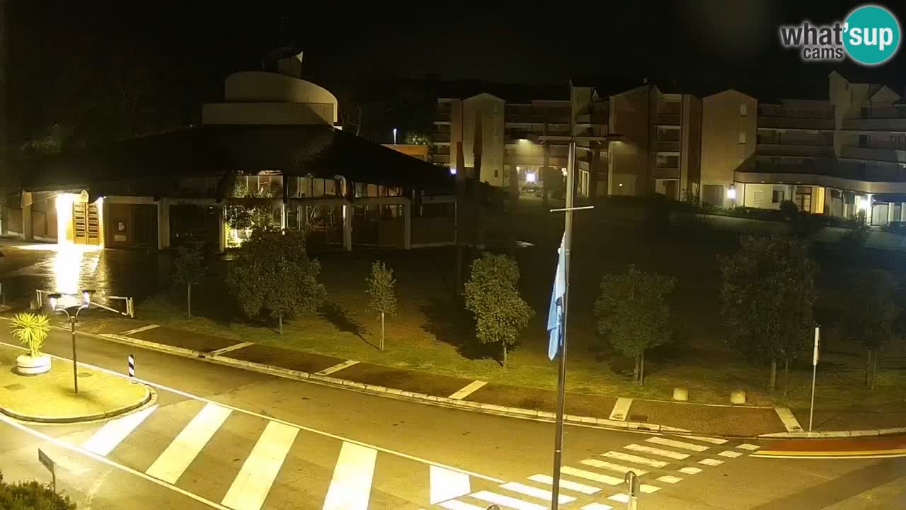 Camera en vivo Rosolina mare