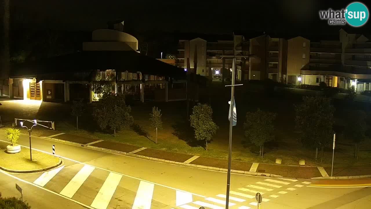 Camera en vivo Rosolina mare