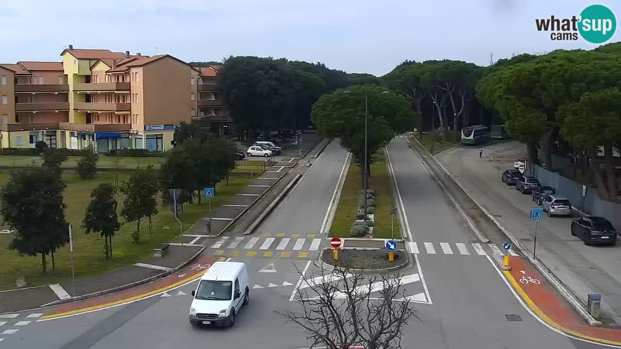 Web kamera Rosolina mare