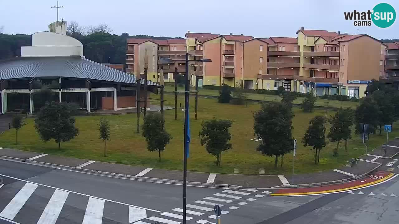 Camera en vivo Rosolina mare